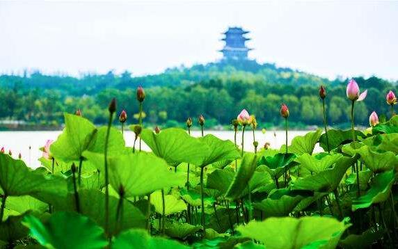 中國文旅產(chǎn)業(yè)的市場潛力龐大，未來市場空間有望達到2萬億元