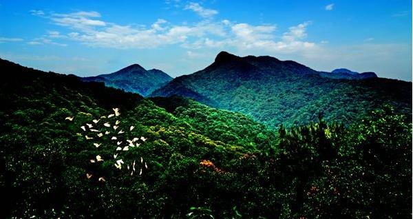 花都區(qū)出臺(tái)“白金十條”促進(jìn)旅游產(chǎn)業(yè)發(fā)展，最大一項(xiàng)政策獎(jiǎng)勵(lì)達(dá)2000萬(wàn)元???