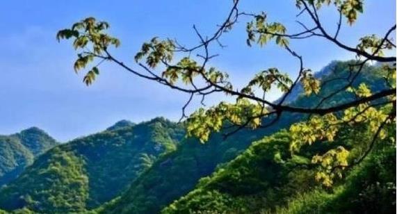陜西省政府：印發(fā)《秦嶺生態(tài)環(huán)境保護(hù)行動(dòng)方案》，持之以恒有效保護(hù)秦嶺這一國(guó)家重要生態(tài)安全屏障