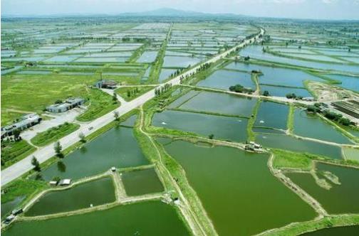 農(nóng)業(yè)農(nóng)村部等10部委聯(lián)合印發(fā)《關于加快推進水產(chǎn)養(yǎng)殖業(yè)綠色發(fā)展的若干意見》