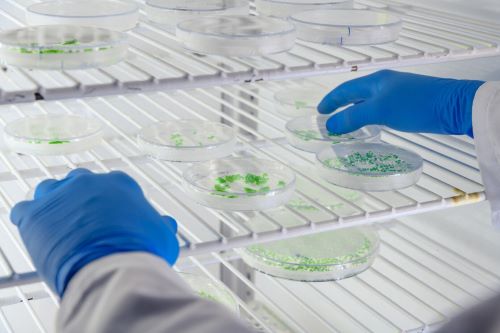 2023年生物制藥的定義和分類(lèi)情況