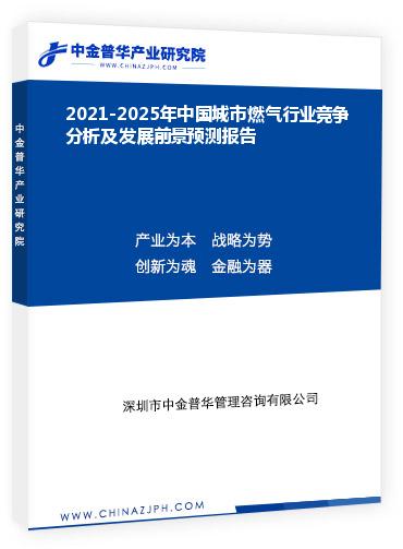 2021-2025年中國城市燃氣行業(yè)競爭分析及發(fā)展前景預(yù)測報告