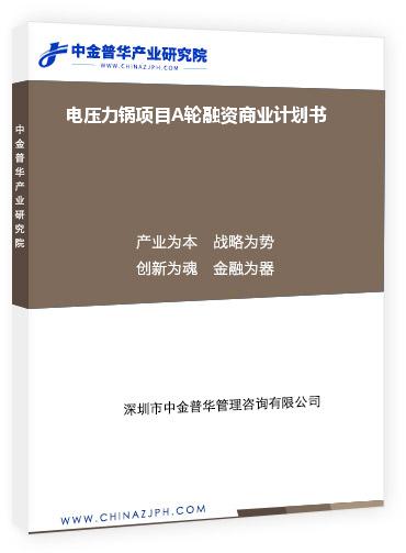 電壓力鍋?lái)?xiàng)目A輪融資商業(yè)計(jì)劃書